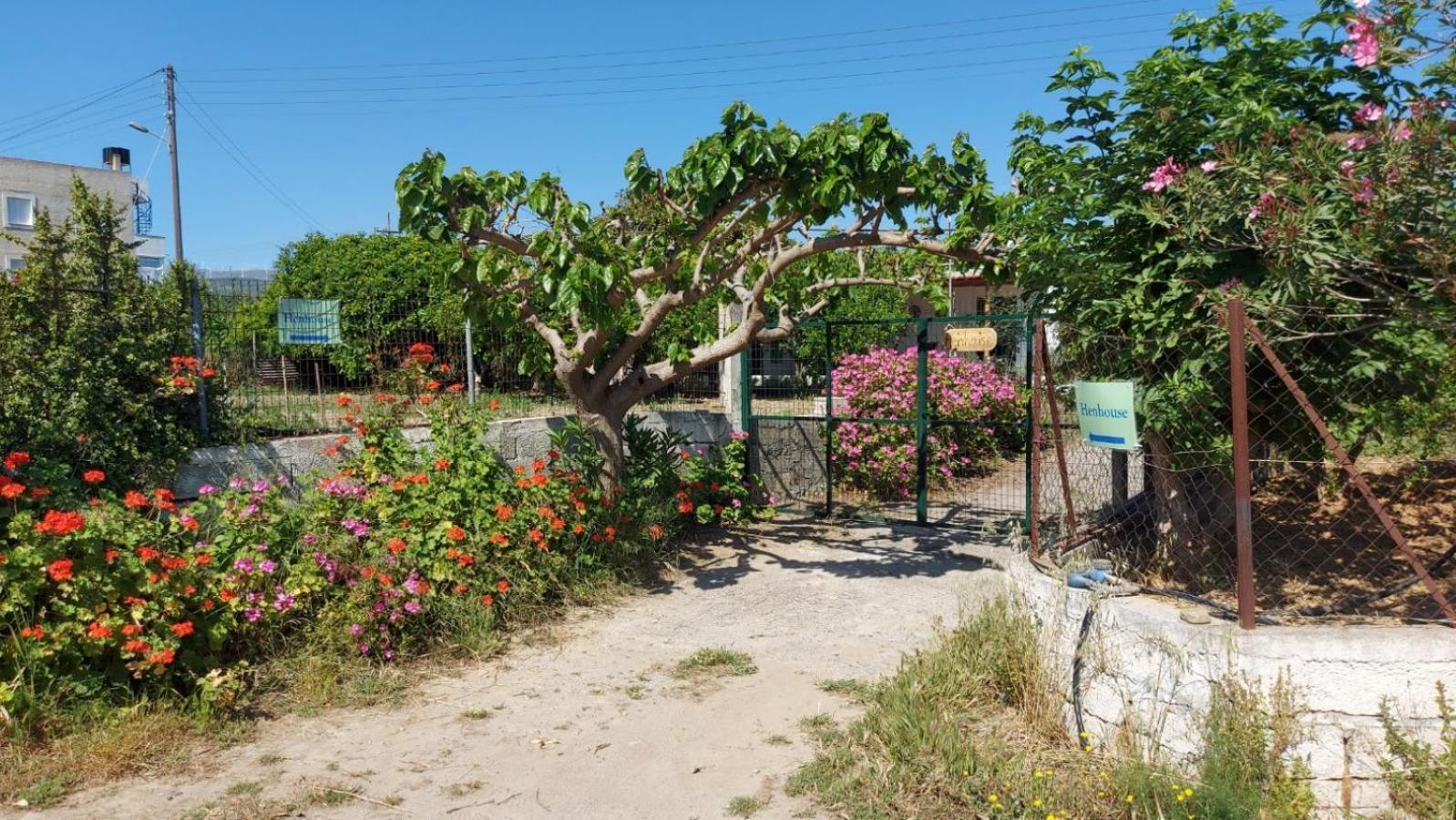 Agritourism Cottage Near Sitia Extérieur photo